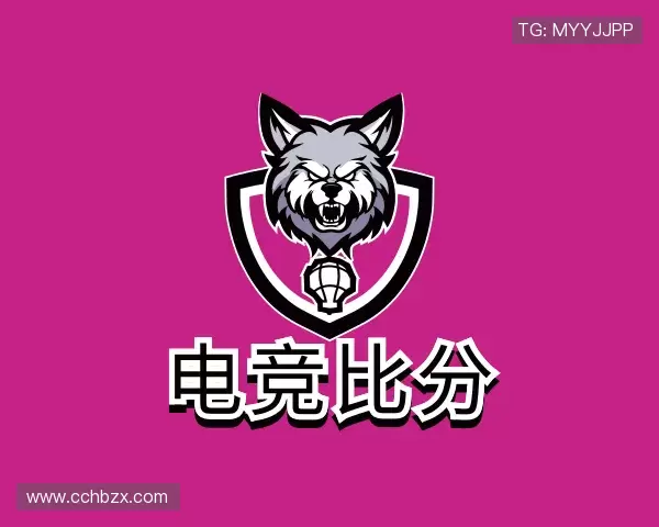认识电竞比分